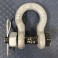 Shackle WLL 2T