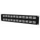 Caymon BSV02 - Panel 19" 2U ventilated black